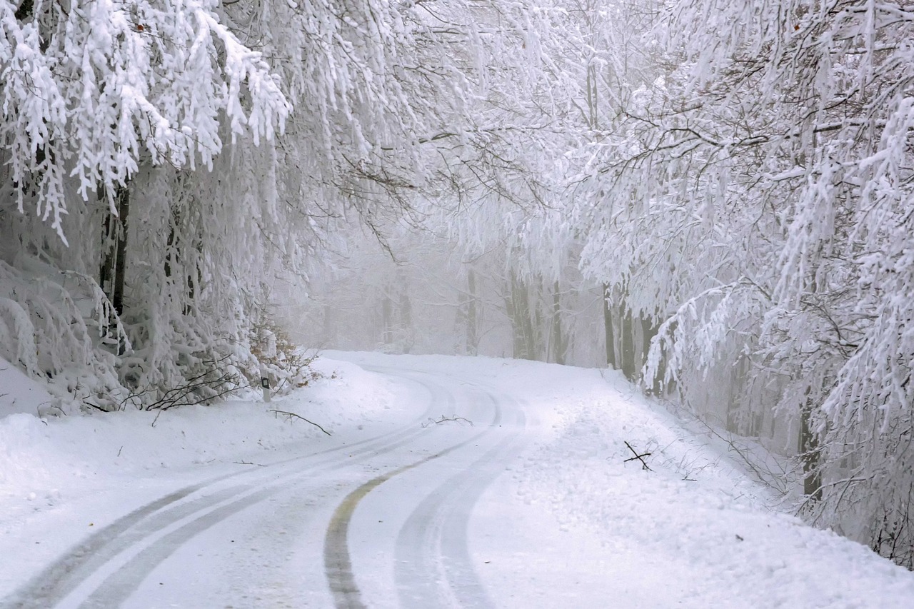 droga, drzewa, śnieg, przeziębienie, lód, mróz, zimowy, zima, mrożony, śnieżny, krzywa, las, krajobraz, natura, Bezpieczna jazda zimą